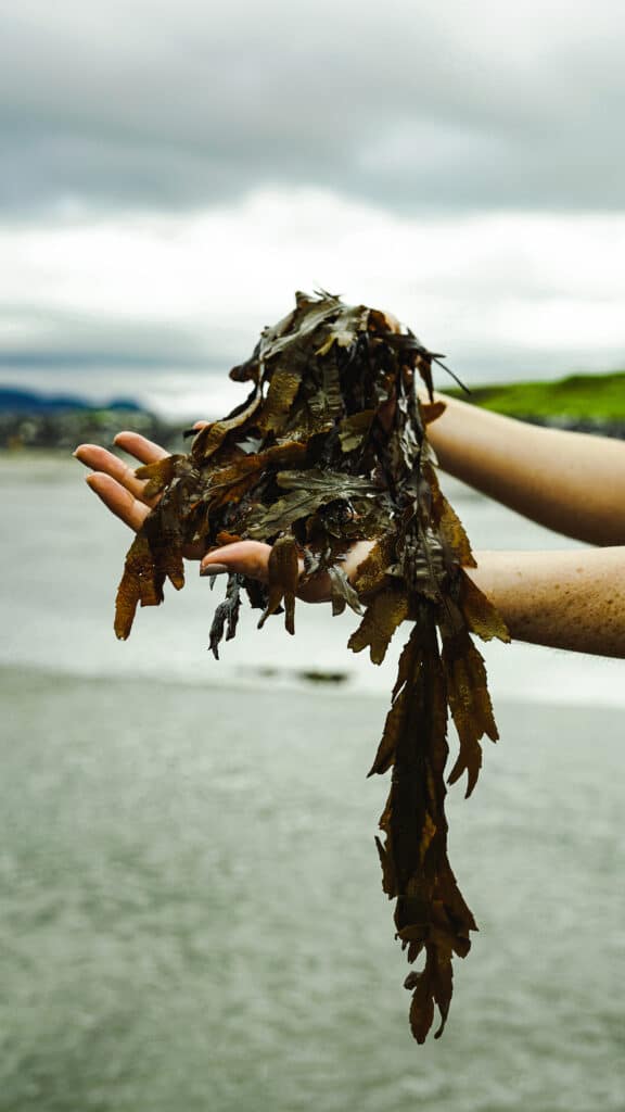 2021-09-13 14.42.22 (2) (1)