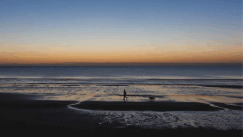 Untitled design (44)