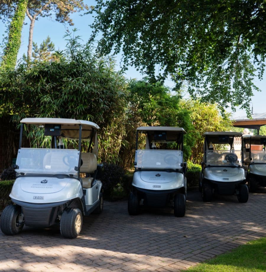 Scenic Golf Cart Experience Relaxing golf retreat with lush greenery and golf carts ready for a perfect day on the course.